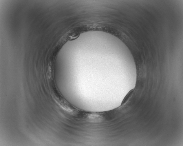 X0000080740183200701021156