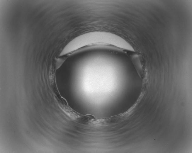 X0000080740186200701021156