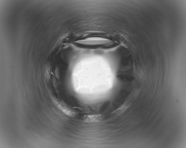 X0000080740188200701021156