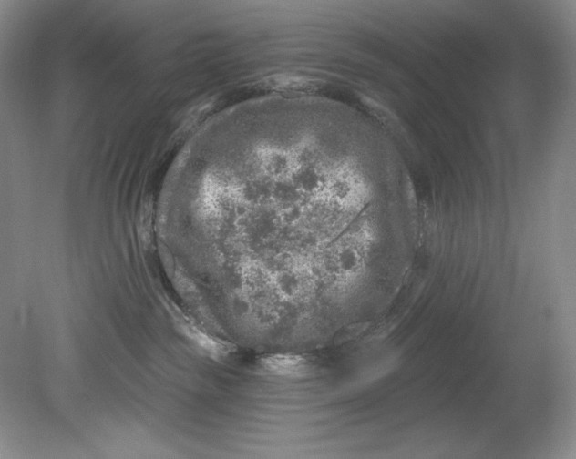 X0000080740189200701021156