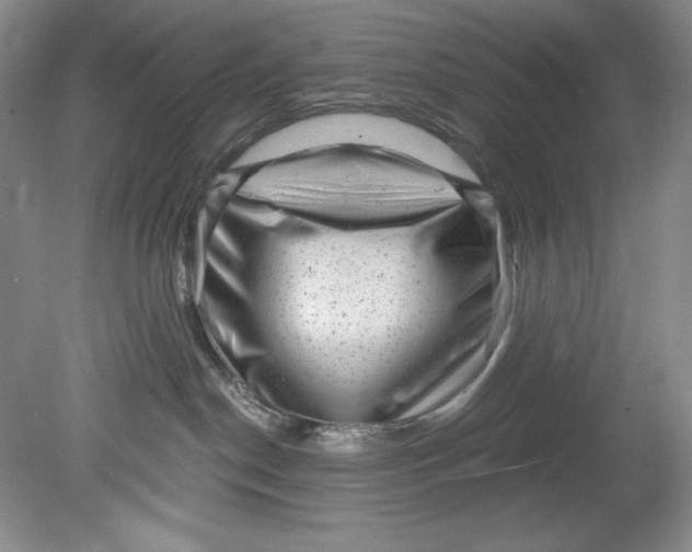 X0000080740190200701021156