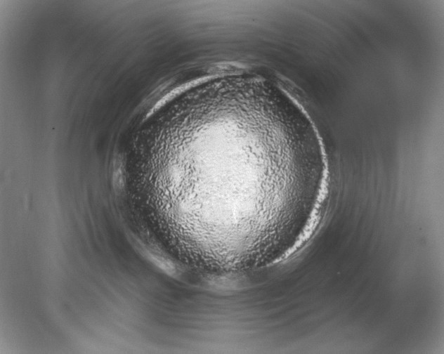 X0000080740191200701021156