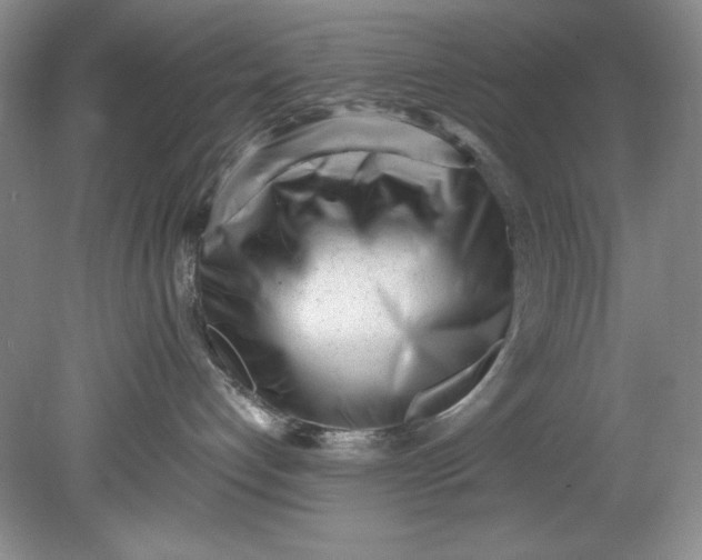 X0000080740192200701021156