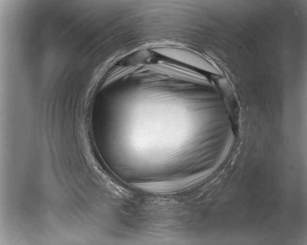 X0000080740193200701021155