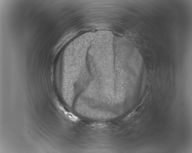 X0000080740194200701021155