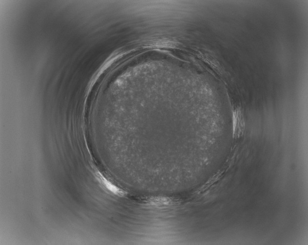 X0000080740195200701021155