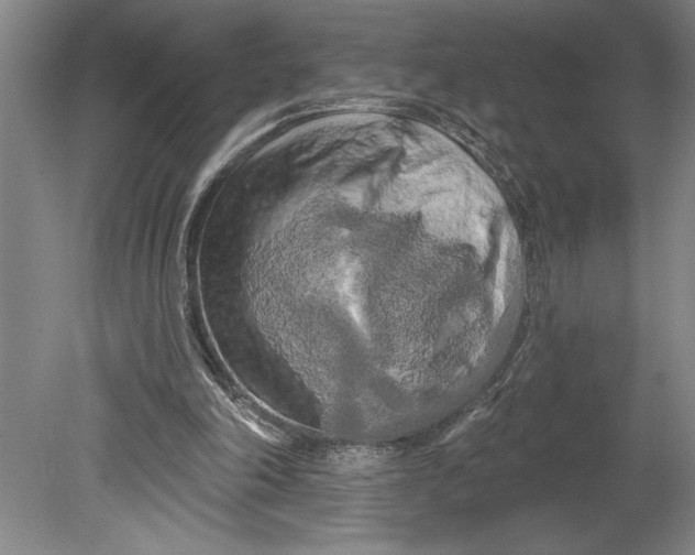 X0000080740198200701021155