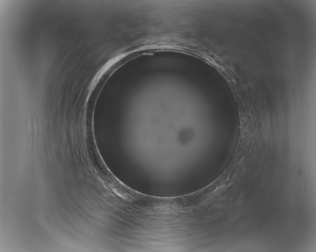 X0000080740200200701021155