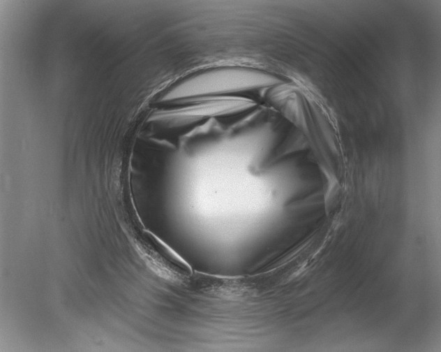 X0000080740201200701021155