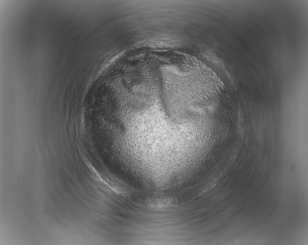 X0000080740202200701021155