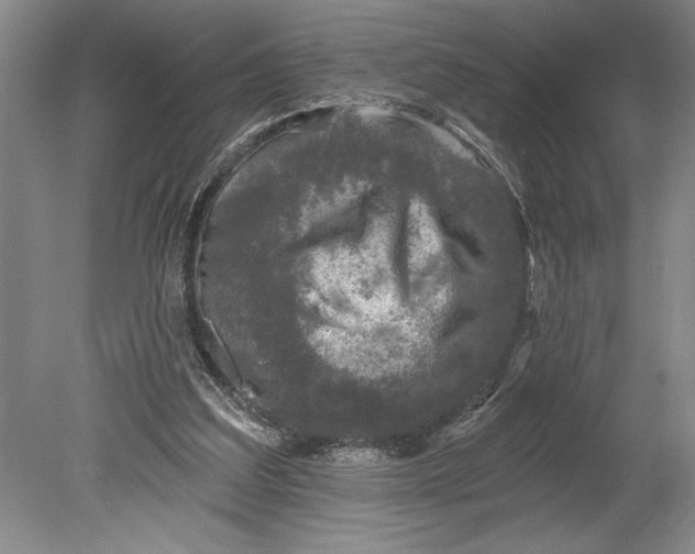 X0000080740203200701021155