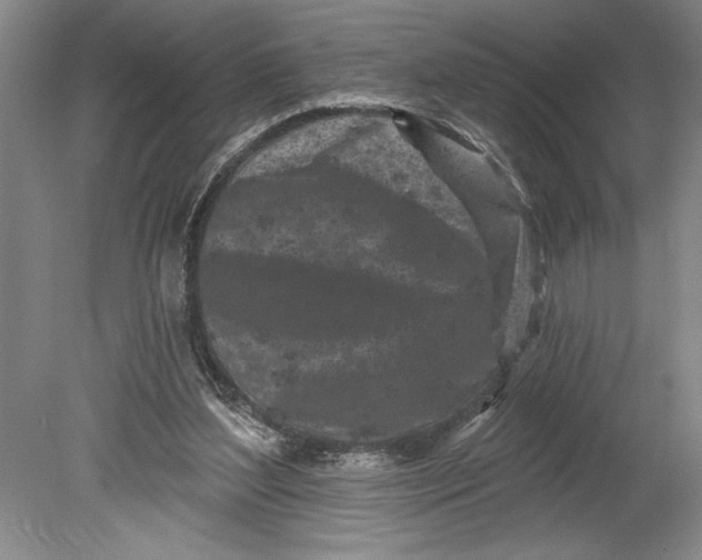 X0000080740204200701021155