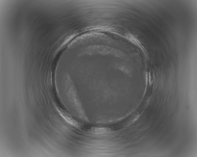 X0000080740205200701021155