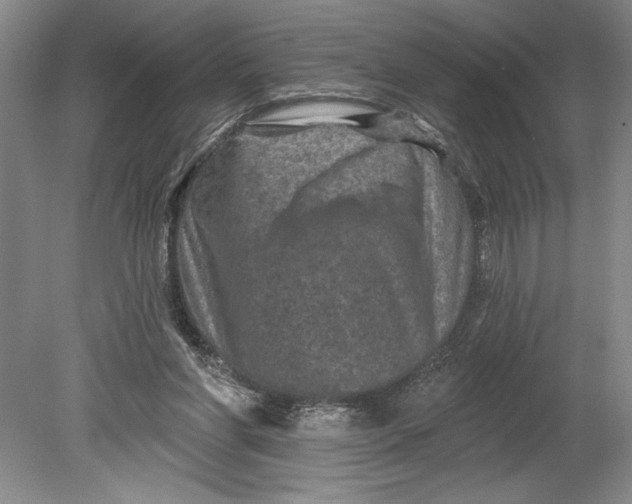 X0000080740206200701021155