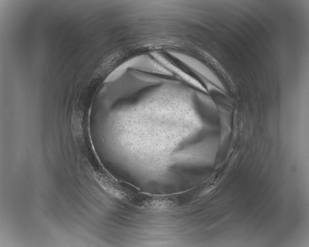 X0000080740209200701021155