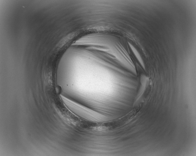 X0000080740212200701021155