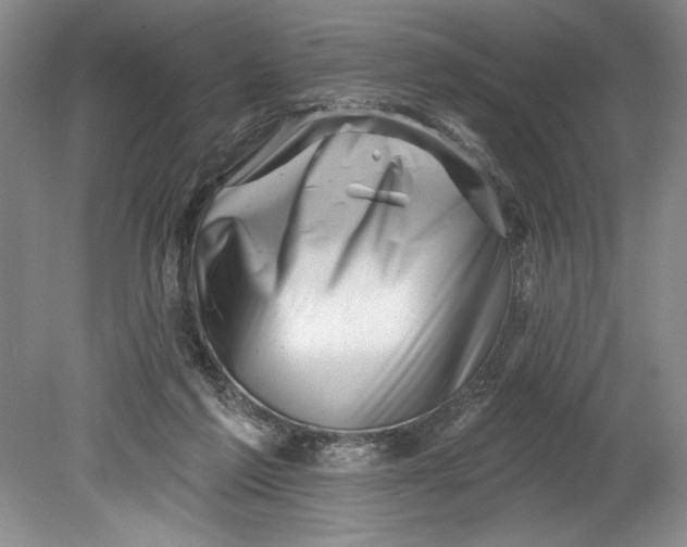 X0000080740213200701021155