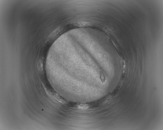 X0000080740214200701021155