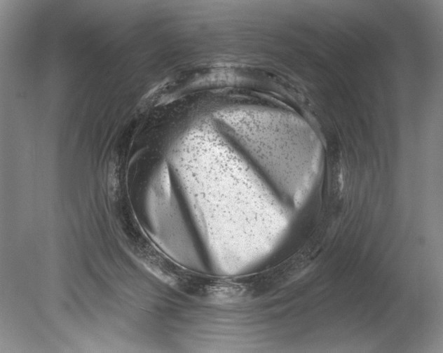 X0000080740215200701021155