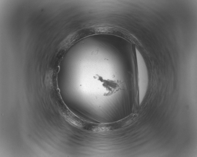 X0000080740217200701021155