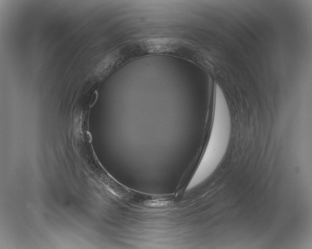 X0000080740219200701021155