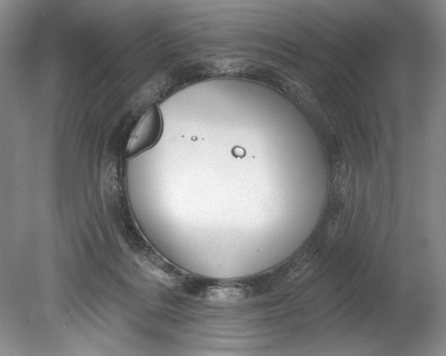 X0000080740220200701021155