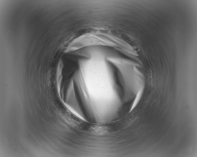 X0000080740221200701021155