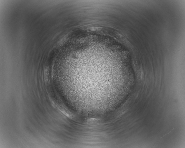 X0000080740222200701021155