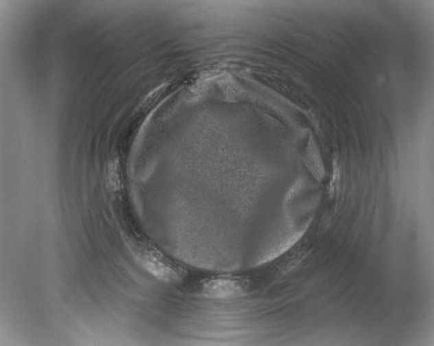 X0000080740224200701021155