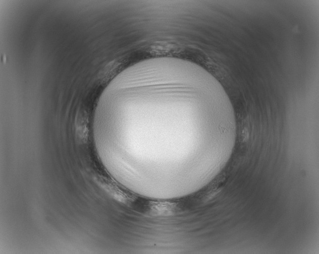 X0000080740226200701021155