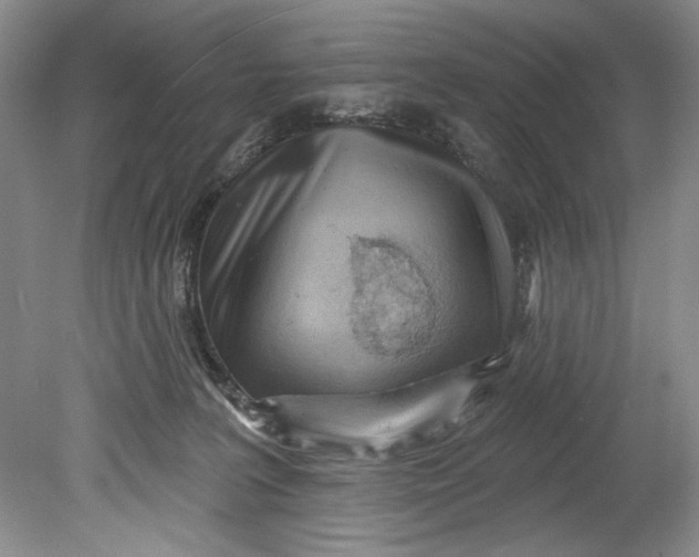 X0000080740227200701021155