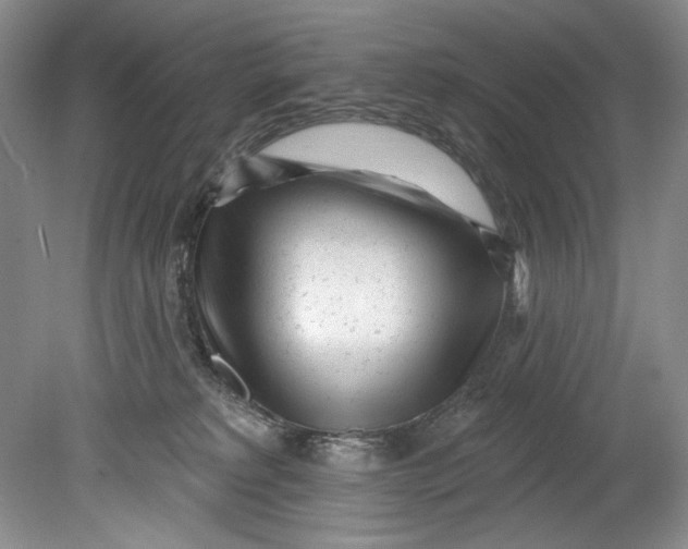 X0000080740229200701021155