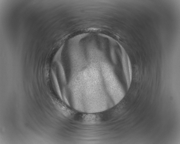 X0000080740230200701021155