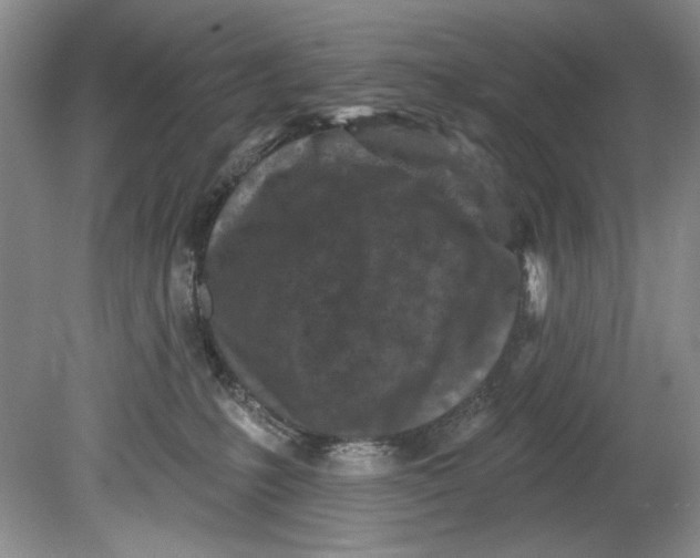 X0000080740231200701021155