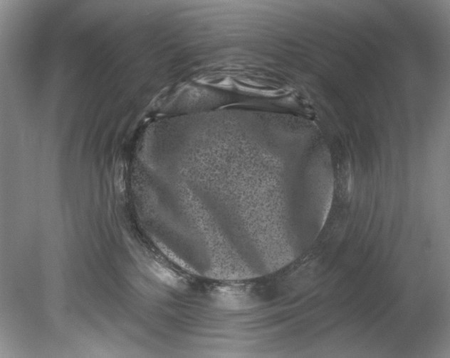 X0000080740232200701021155