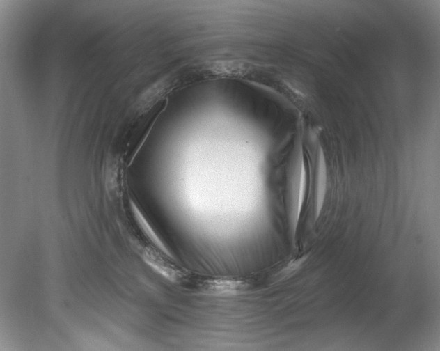 X0000080740233200701021155