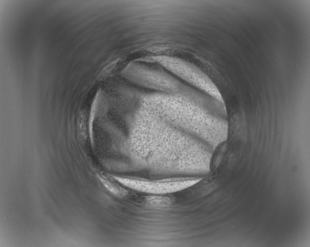 X0000080740234200701021155