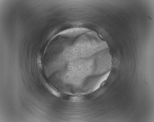 X0000080740238200701021155