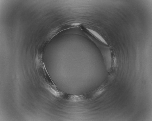 X0000080740239200701021155