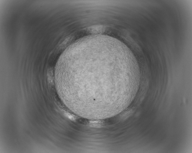 X0000080740240200701021155