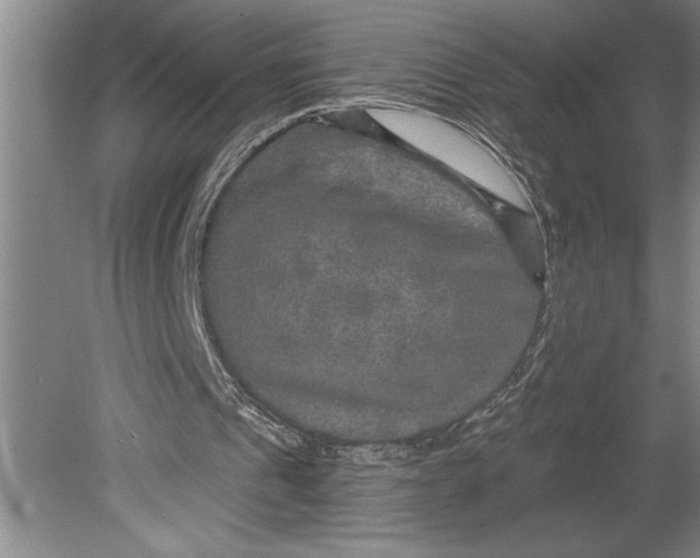 X0000080740241200701021154