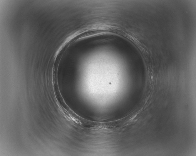 X0000080740244200701021154