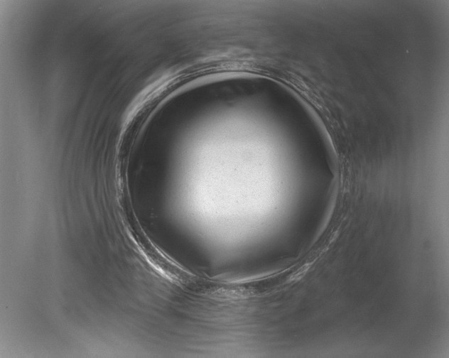 X0000080740245200701021154