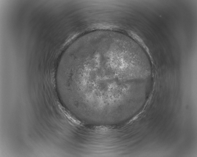 X0000080740249200701021154