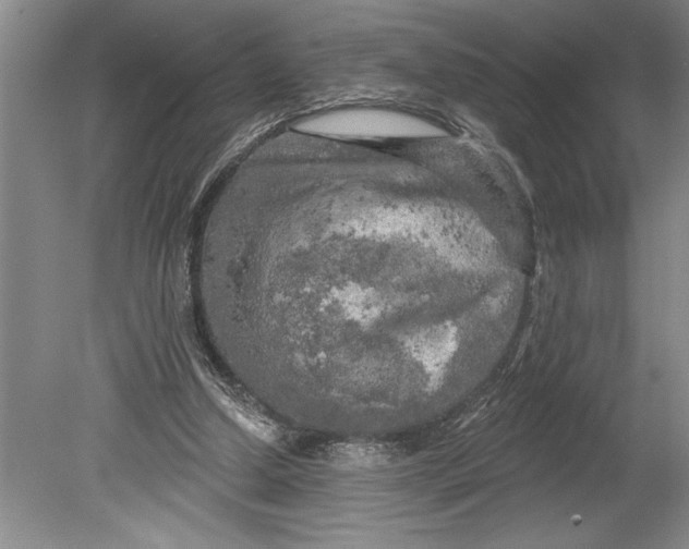 X0000080740250200701021154