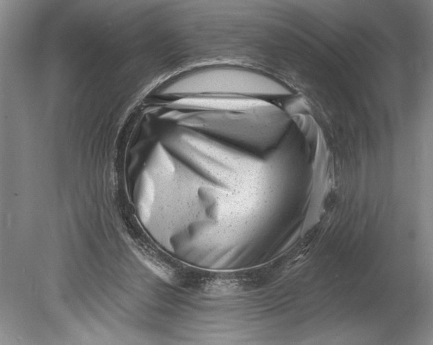 X0000080740252200701021154