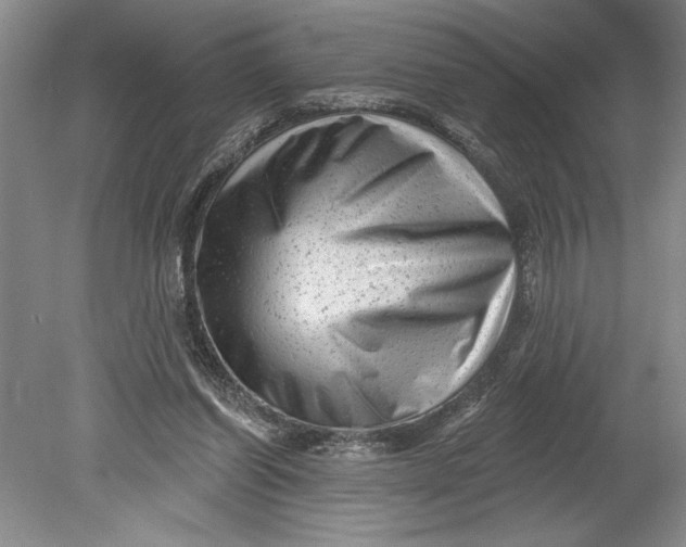 X0000080740254200701021154