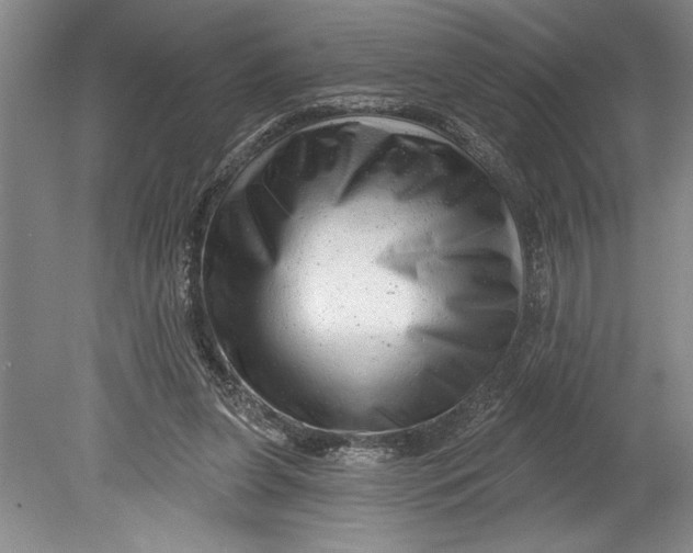 X0000080740255200701021154