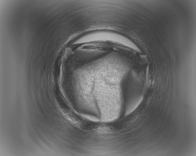 X0000080740256200701021154