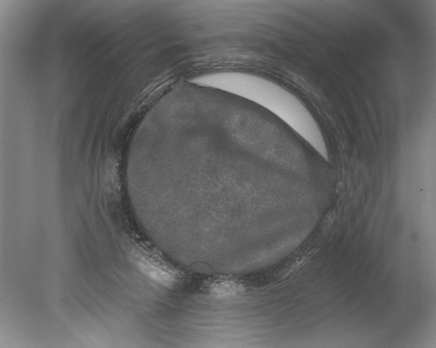 X0000080740258200701021154